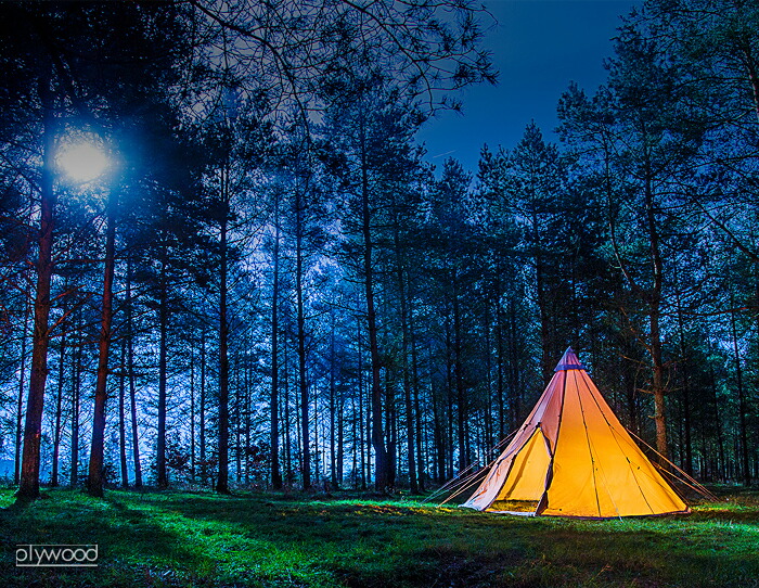 楽天市場】送料無料 正規品 NORDISKノルディスク アルフェイム 12.6用