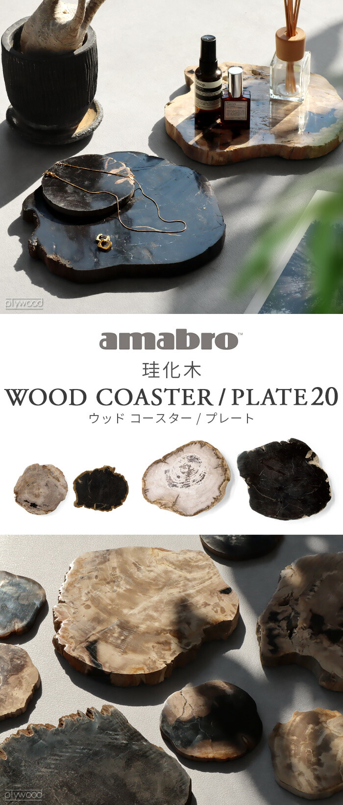 楽天市場】コースター アクセサリートレイ 小物置き 珪化木 おしゃれ