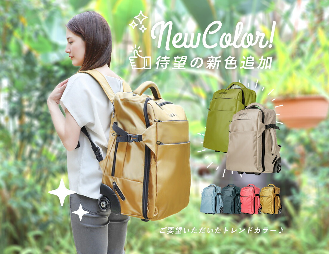 LeeDee 2WAY キャリーバッグ リュック 機内持ち込み可 軽量 旅行 出張