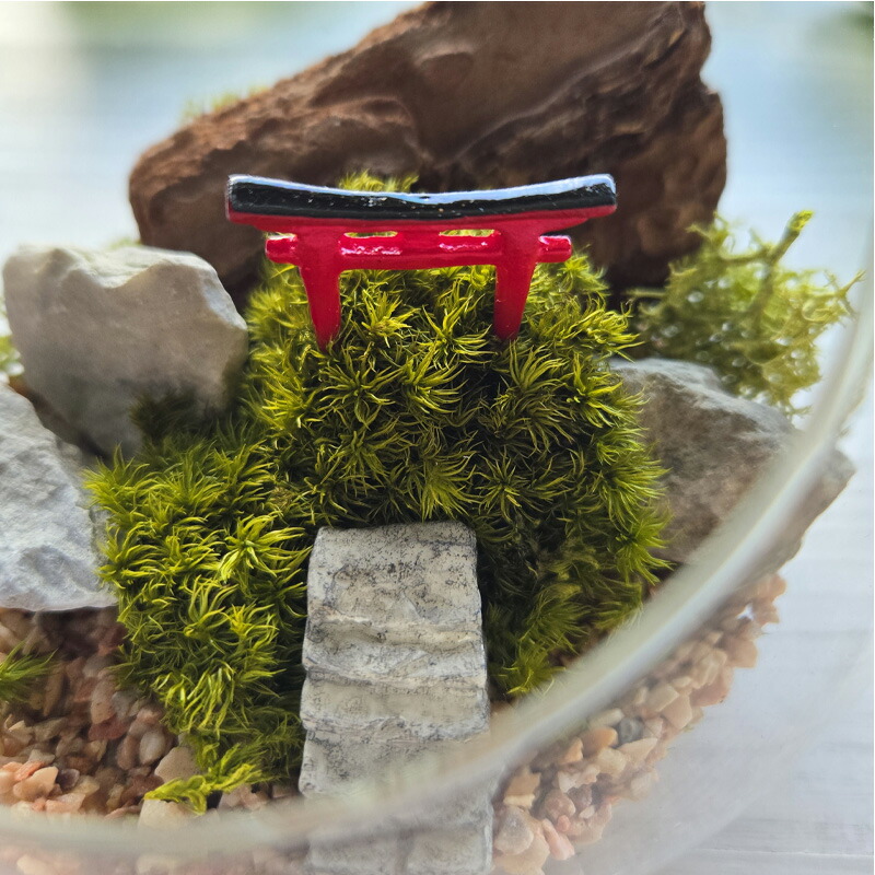 楽天市場】苔プリ ガラスドーム 12cm | 鳥居タイプ 完成品 テラリウム