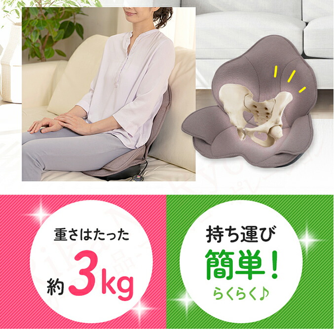 楽天市場】芦屋美整体 骨盤プロリセットエアー ☆最大20％OFF☆選べる