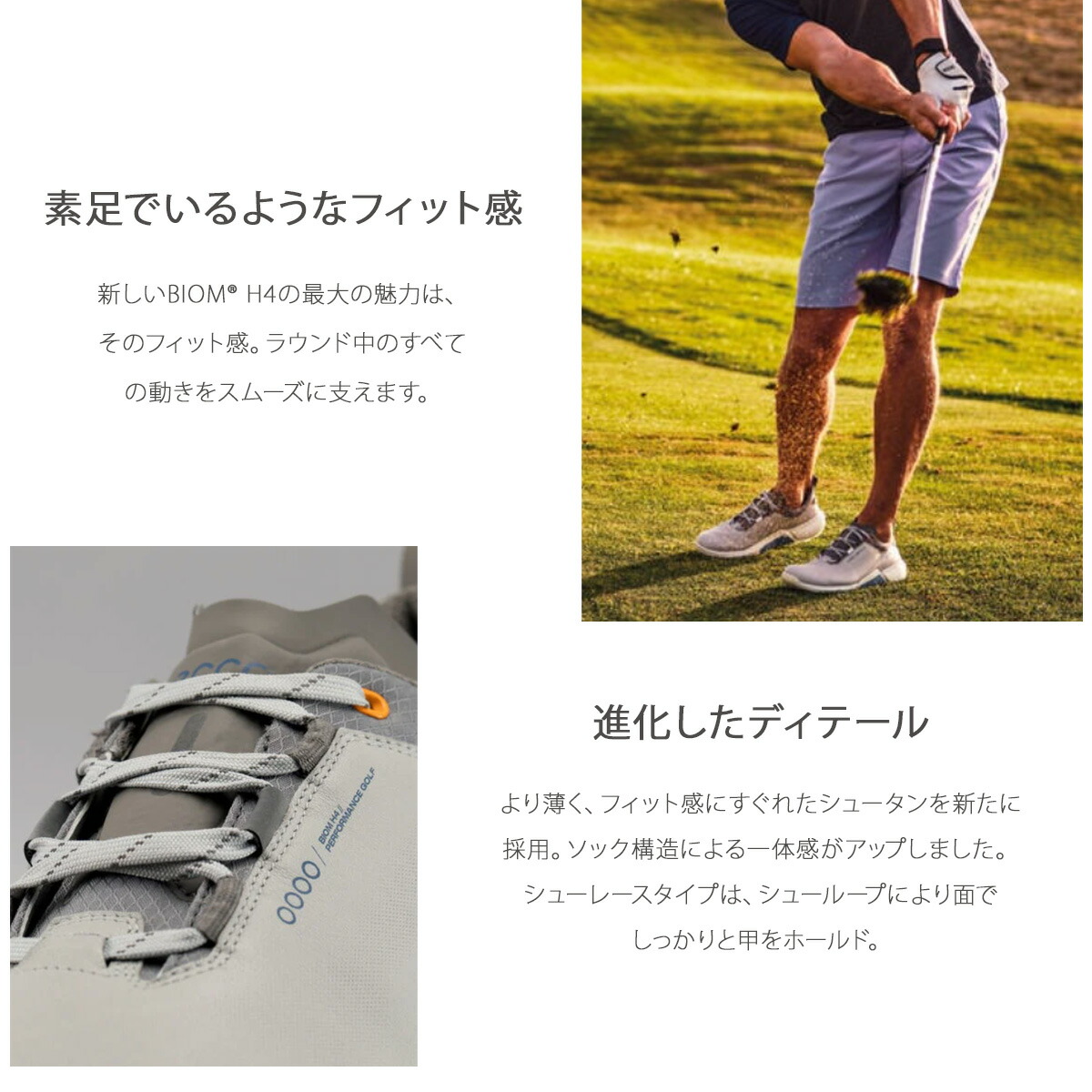 楽天市場】エコー ゴルフ シューズ バイオム エイチ フォー スパイク