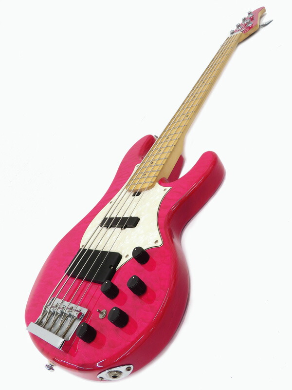 GrassRoots】グラスルーツ『5弦エレキベース』G-T-80BD 2012年製 1週間