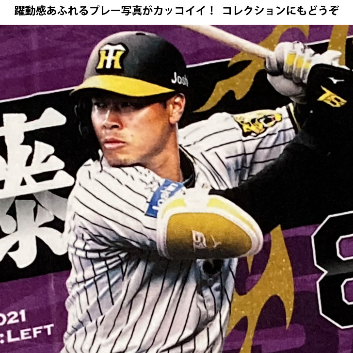 楽天市場】阪神タイガース グッズ 佐藤 輝明 選手フォトタオル 2022