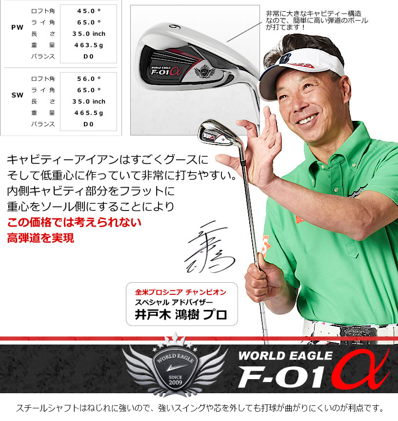 ワールドイーグル F-01 メンズ 12点（10本）クラブセット バッグなし