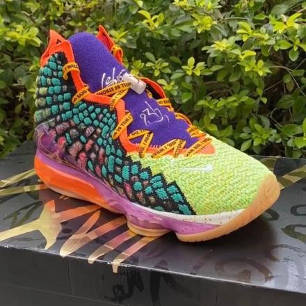 国内6月1日発売予定】ナイキ レブロン 17 WTW マルチカラー/マルチ