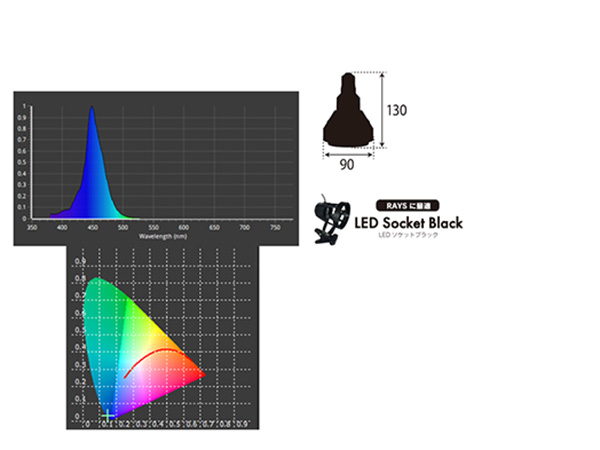 ZOOX Actinic RAYS アクアテイラーズ オンラインショップ