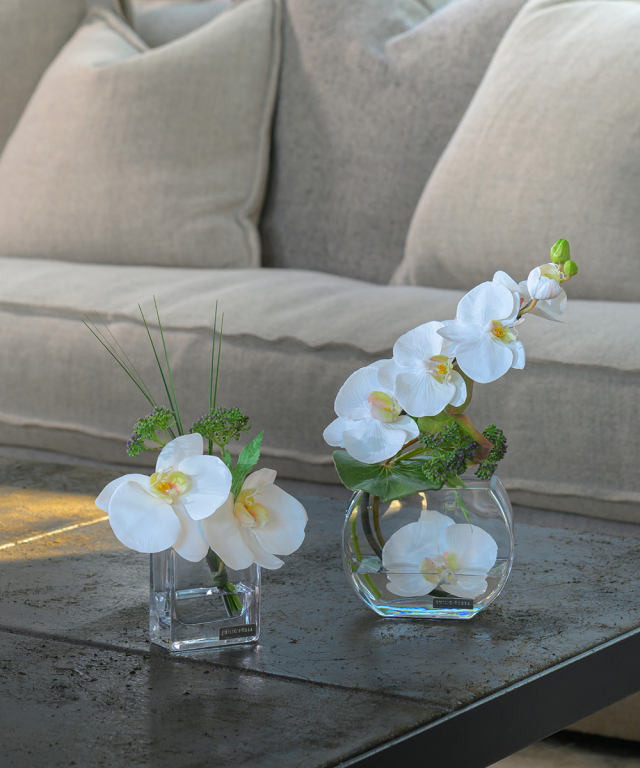 ファレノプシスXS 高品質 ギフト プレゼント お祝い アーティ