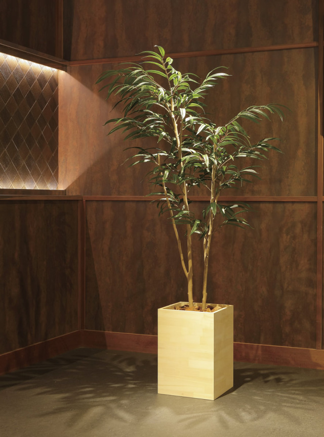 光触媒 光の楽園 ウッドボックスショウナンゴム1.8m【インテリア