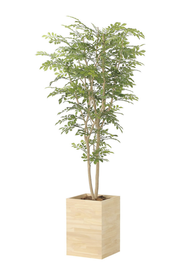 光触媒 光の楽園 ウッドボックストネリコミックス1.8【インテリア