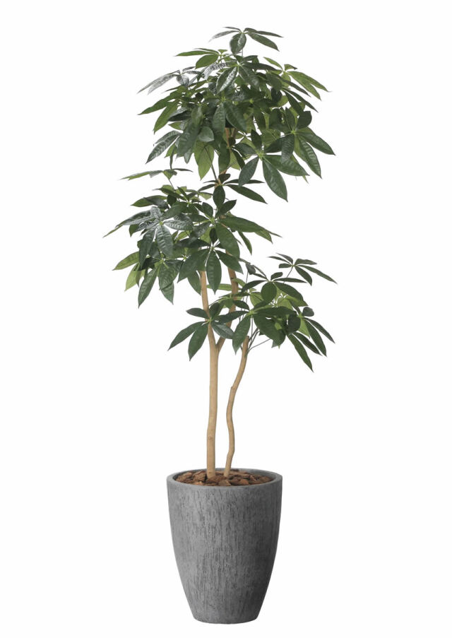 光触媒 光の楽園 オリーブ 高さ 1.6m【インテリア フェイクグリーン