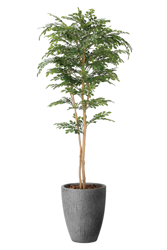 光触媒 光の楽園ナチュラルトネリコ 1.8m【インテリア フェイク