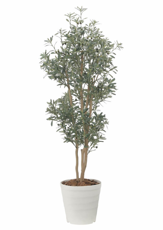 光触媒 光の楽園 デラックスオリーブ1.8m【インテリア フェイク