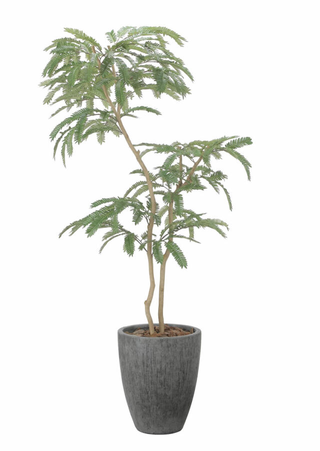 光触媒 光の楽園ナチュラルベンジャミン 1.8m【インテリア フェイク