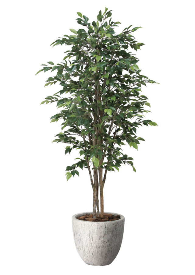 光触媒 光の楽園 フィカスツリー1.8m【インテリア フェイクグリーン