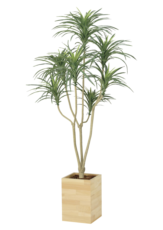 光触媒 光の楽園 ウッドボックスベンジャミン1.8m【インテリア