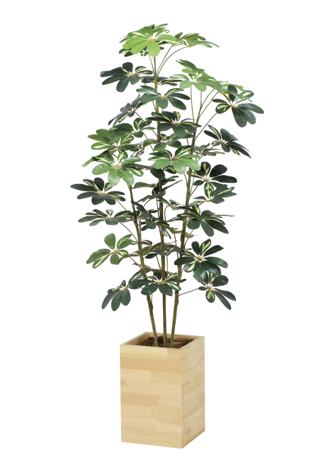 光触媒 光の楽園 フィカスツリー1.8m【インテリア フェイクグリーン