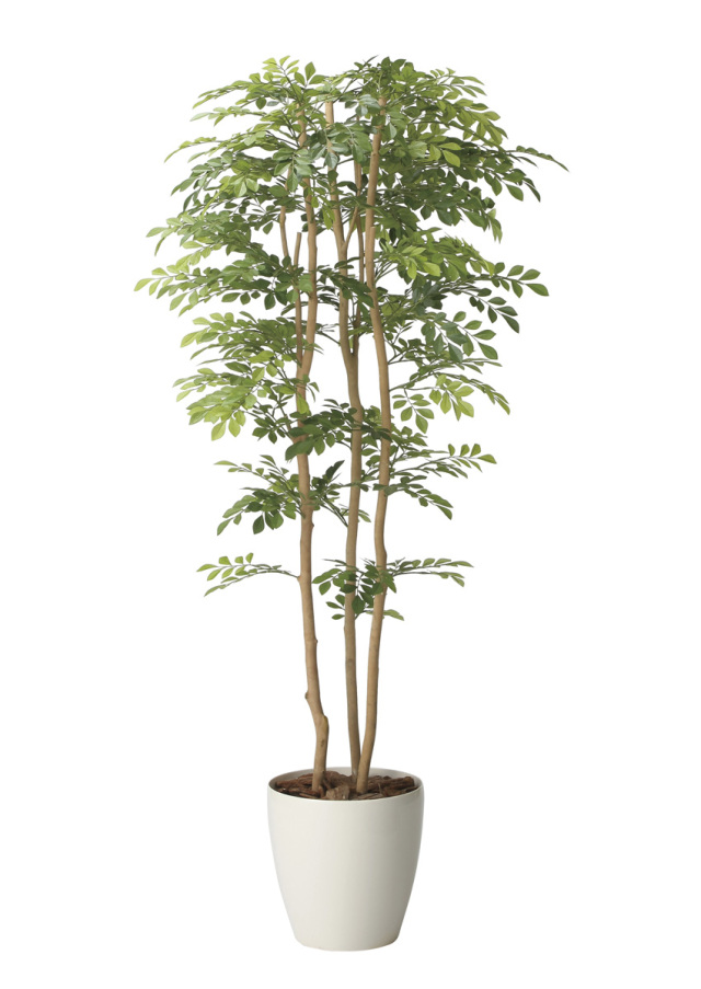 光触媒 光の楽園 ゴールデンリーフ 1.6m【インテリア フェイクグリーン