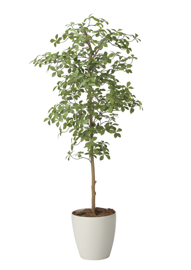 光触媒 光の楽園 フィカスツリー1.8m【インテリア フェイクグリーン