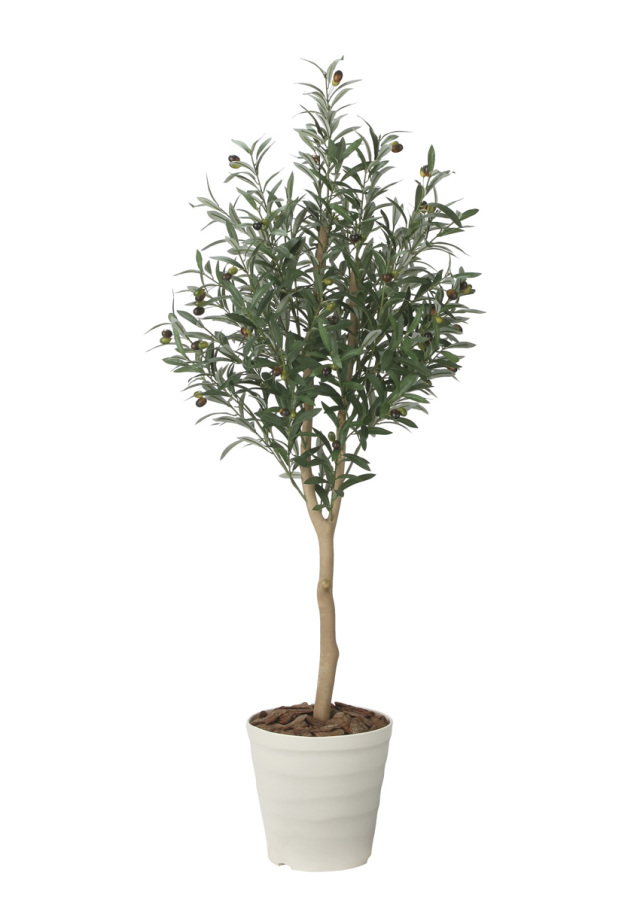 光触媒 光の楽園マウンテンアッシュ（下草付）1.3m【インテリア