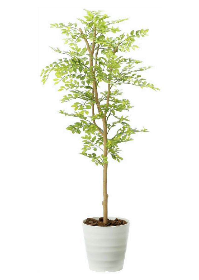 110cm以上 造花と観葉植物の専門店 光の楽園