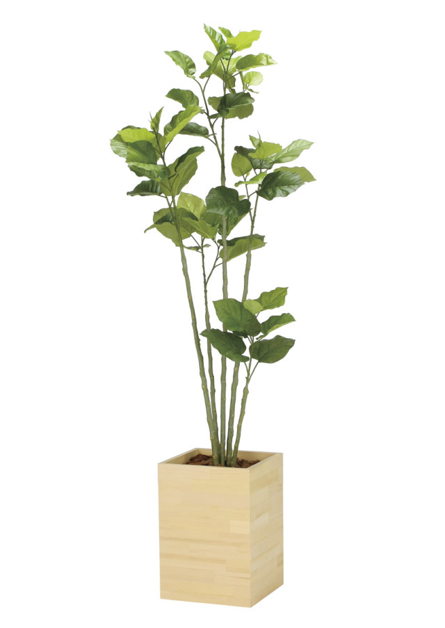 光触媒 光の楽園 ウッドボックスウンベラータ1.8m【インテリア