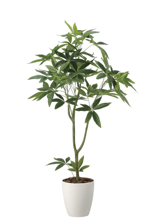 光触媒 光の楽園 トネリコ 1.2m【インテリア フェイクグリーン 人工