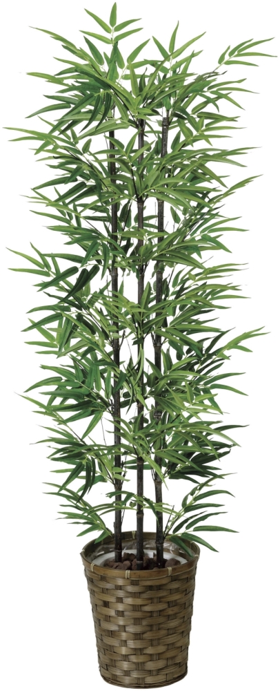 光触媒 光の楽園ベンジャミン 1.0m【インテリア フェイクグリーン 人工