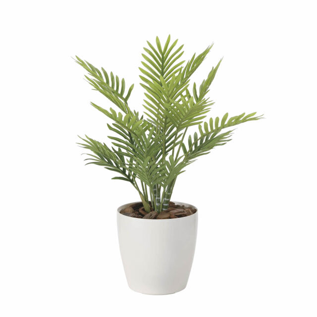 光触媒 光の楽園 フレッシュパーム【インテリアグリーン 人工観葉植物