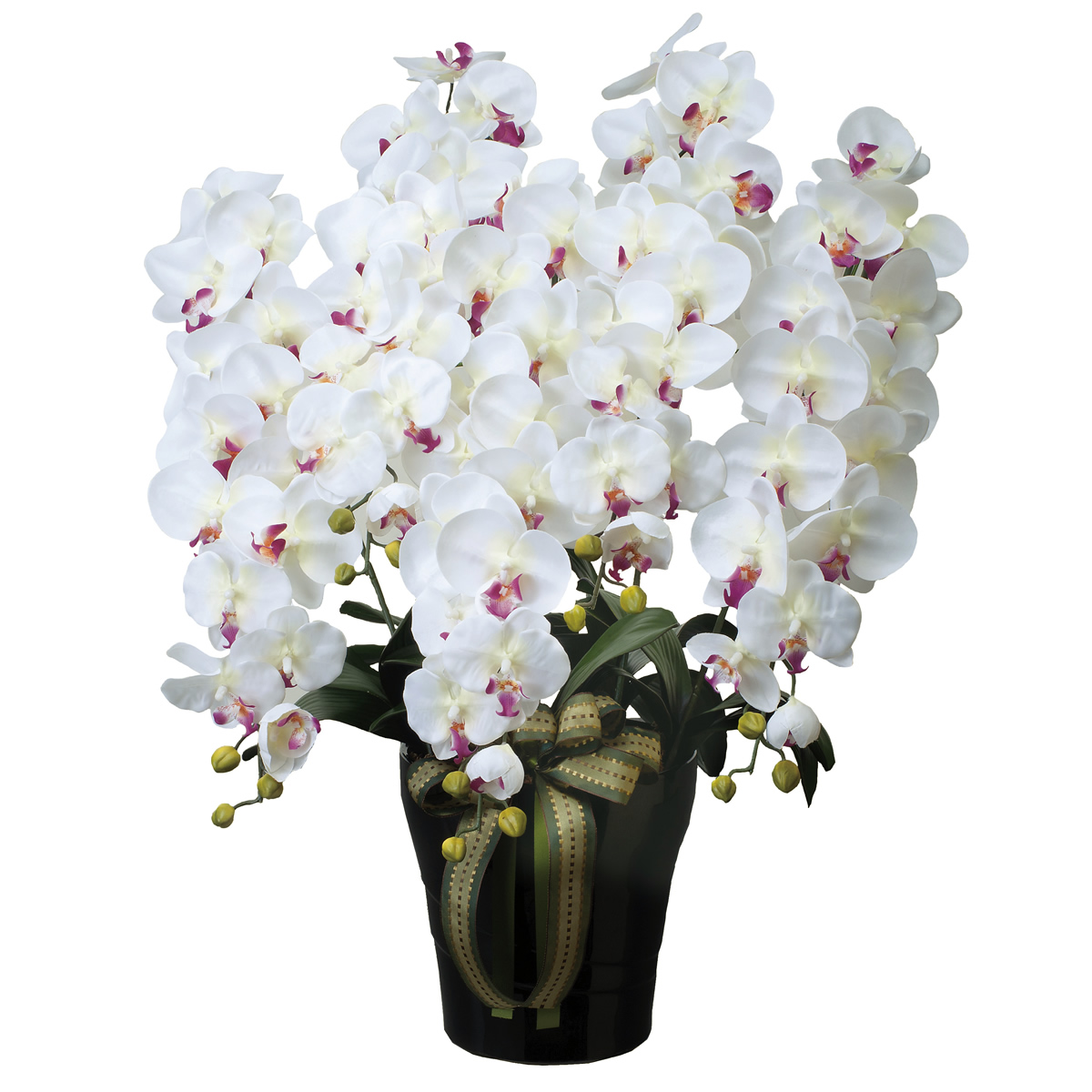 光触媒 光の楽園ロイヤル胡蝶蘭5本立W/AB【アートフラワー 造花