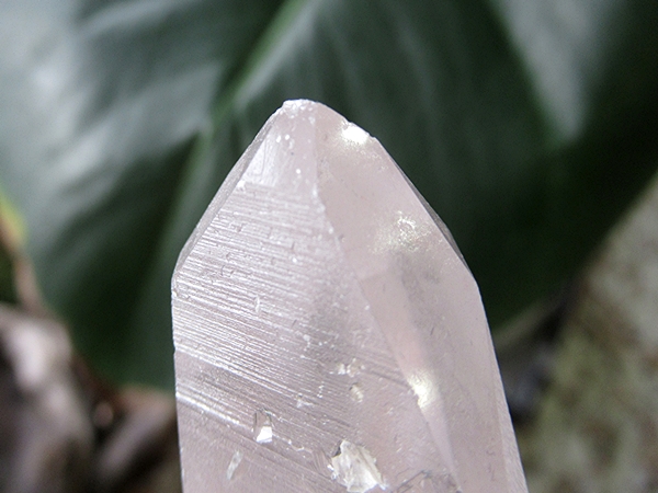 ブラジル バイーア州産 レムリアンシードクリスタル 原石 | 天然石専門