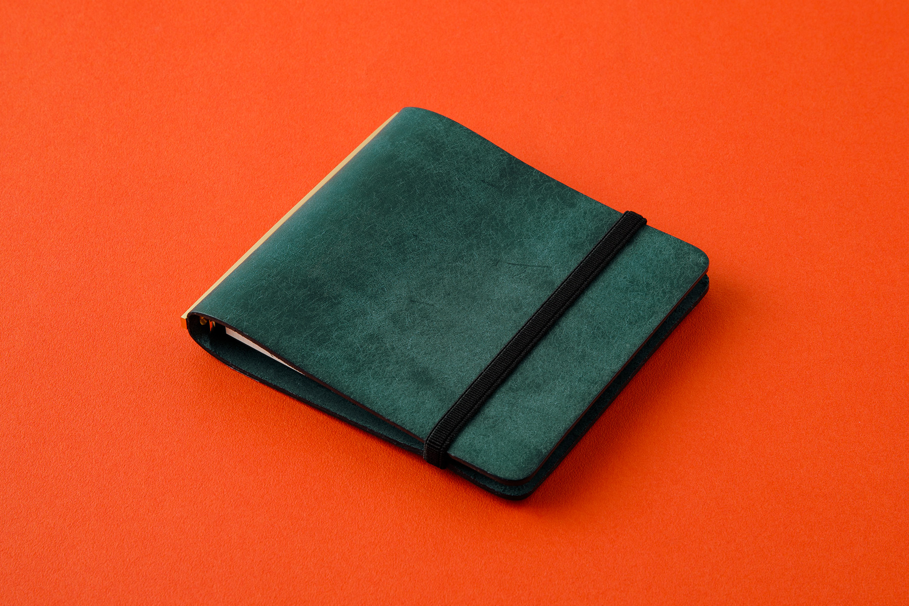 PLOTTER（プロッター）公式通販｜オンラインショップ限定 バンド