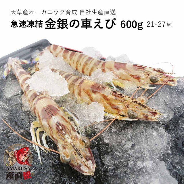 AMAKUSA産直市場便】天草産車海老を味噌漬けにしました！焼くと