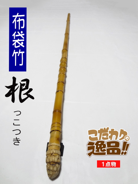 和竿や自作釣竿の製作に布袋竹根付き910-21.2-14.5(mm)【商品番号】sn441