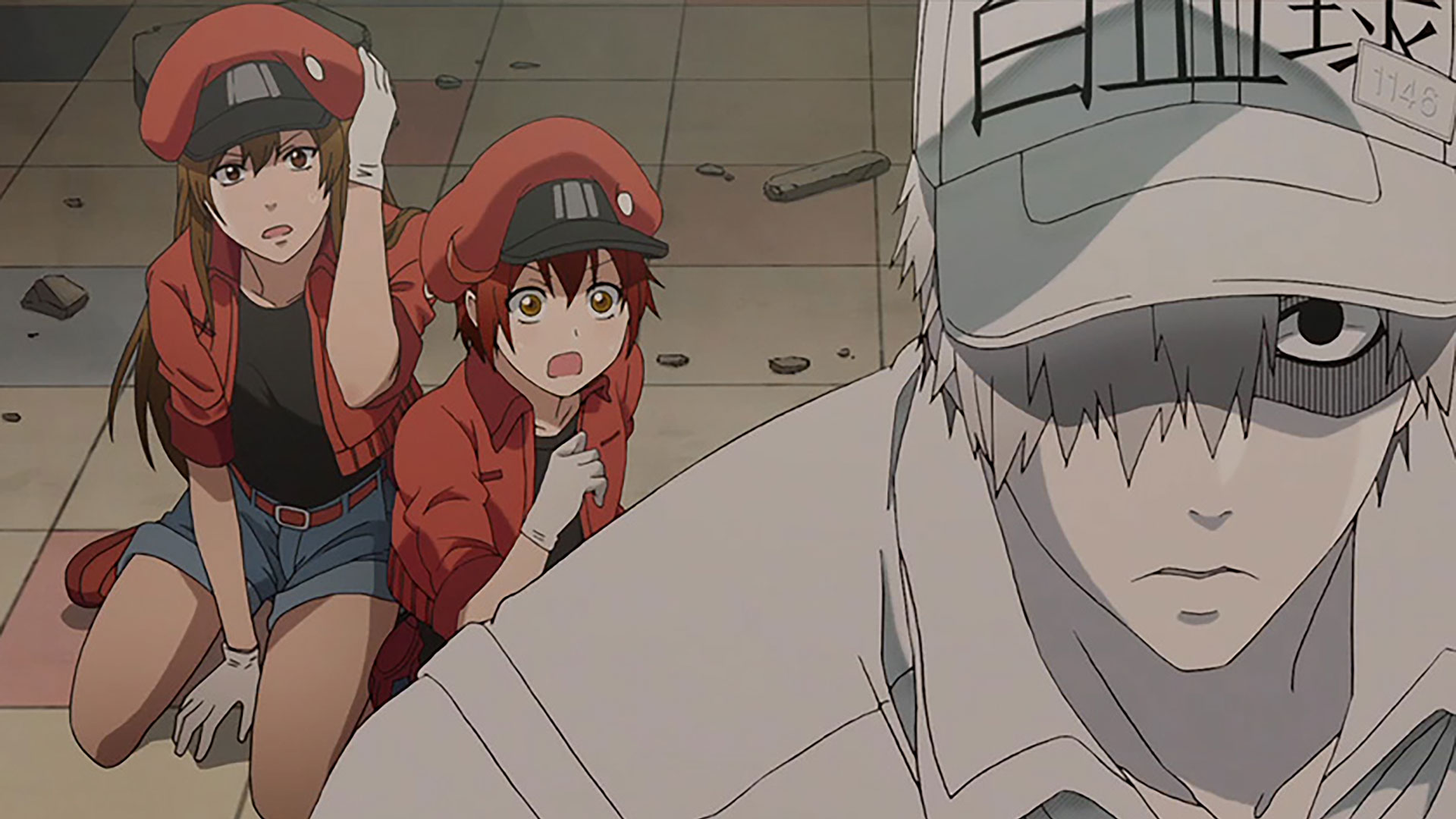 はたらく細胞 第1話| バンダイチャンネル｜最新作から不朽の名作まで