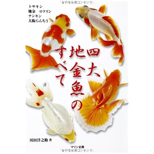原色金魚図艦-かわいい金魚のあたらしい見方と提案 | 川田 洋之助 |本