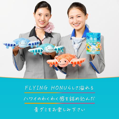 ANA FINDELISH＞青組（あおグミ）FLYING HONU-フライングホヌ- 20袋