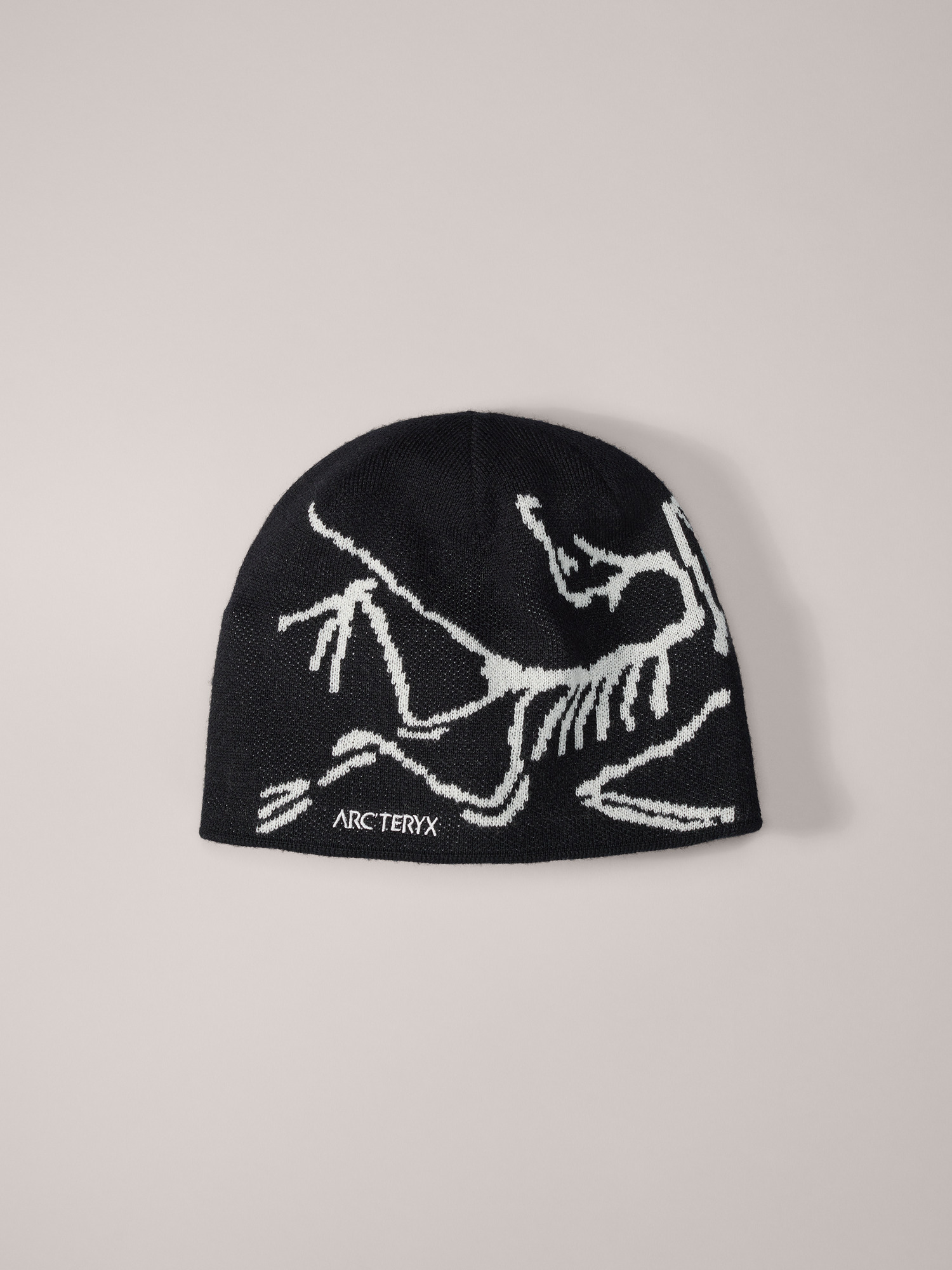 Bird Head Toque | Arc'teryx United States