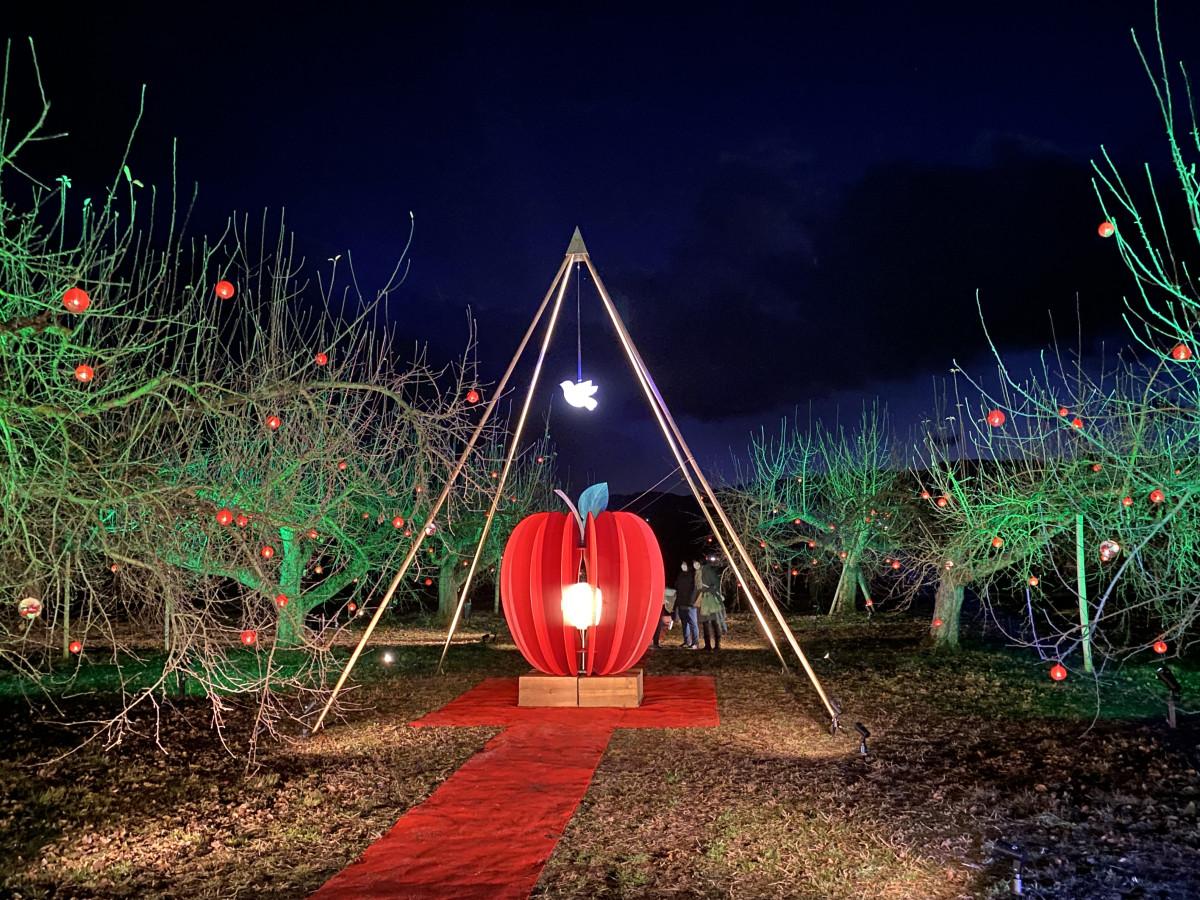 天龍峡の冬のリンゴ園で初イベント「リンゴと光」をテーマに - 飯田