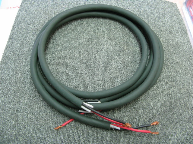 Greenline vivace/1.8m EINSTEIN - 中古オーディオ 高価買取・販売