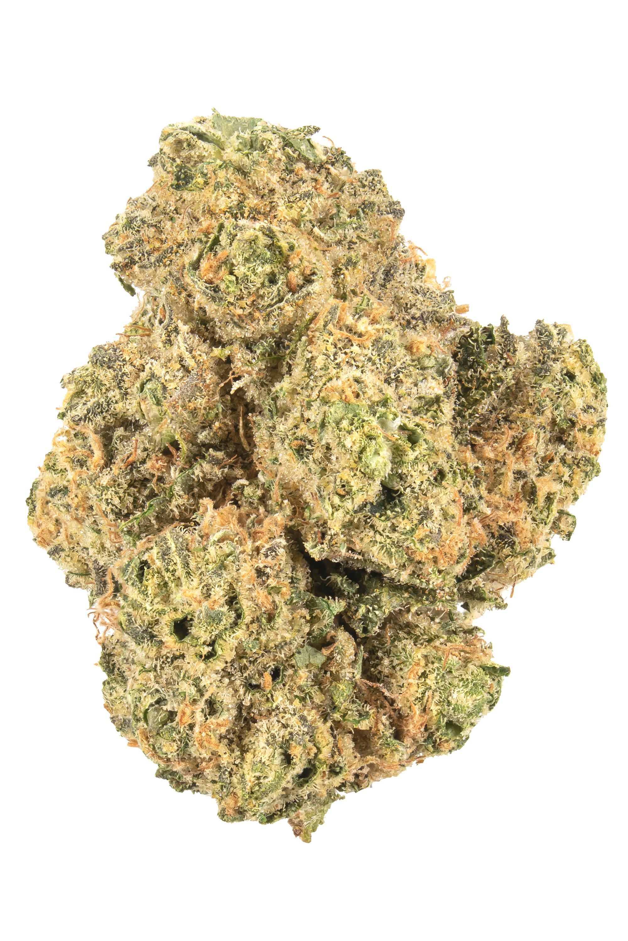 ディグダ】OGKush 10 SweetSkunk 10 ディグダ】OGKush 10 SweetSkunk