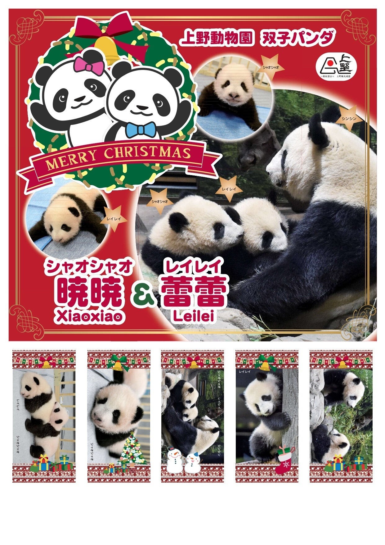 iFLYER: 東京・上野公園不忍池で「上野シタマチ CHRISTMAS」2025年12月