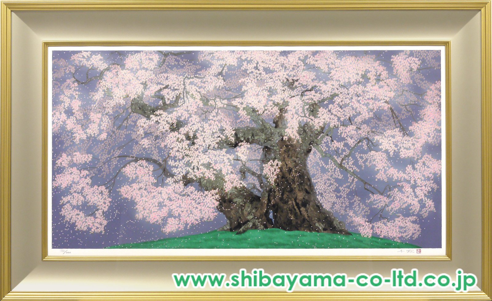 中島千波「花嵐中曽根の権現桜」リトグラフ＋シルクスクリーン :: 絵画