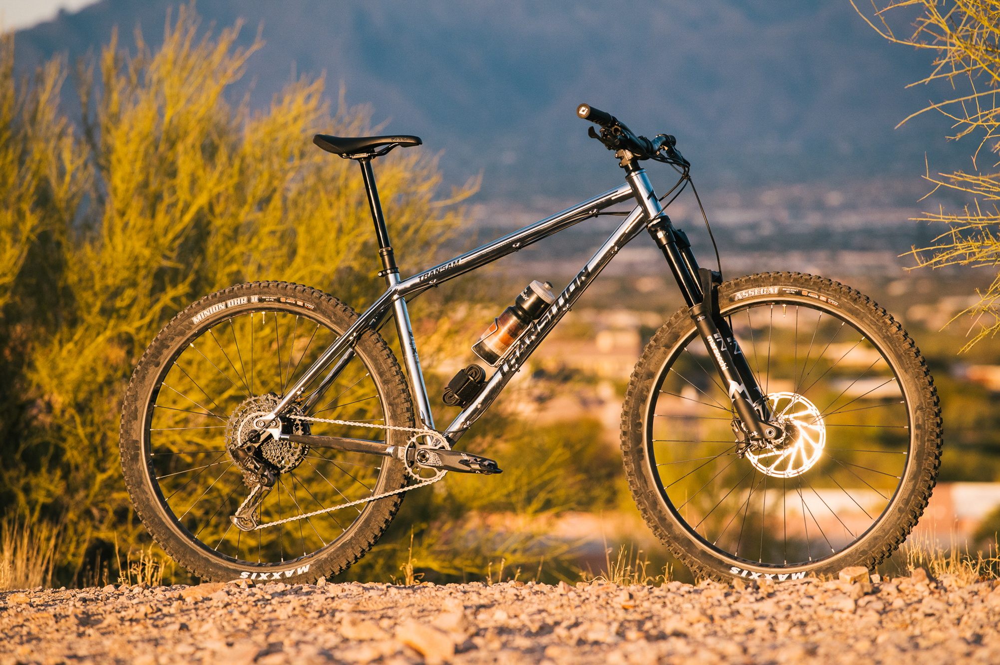 Shining Bright Like a Diamond: A 2024 Transition TransAM Hardtail