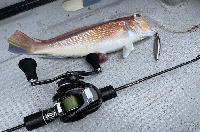 タカミテクノスのMOZライトゼロをインプレ！超万能ライトジギング