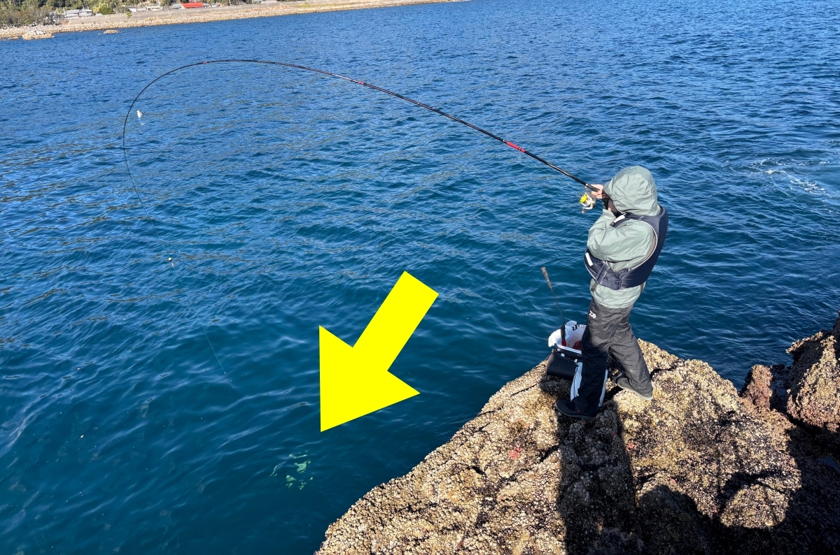 ボウズ続きだった初心者が“真冬の磯”に行ってみたら……過去最高の爆釣