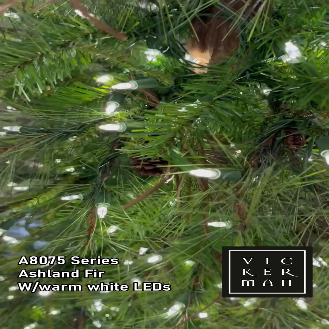 A807551 - Ashland Fir Tree Alpine Tree | Vickerman