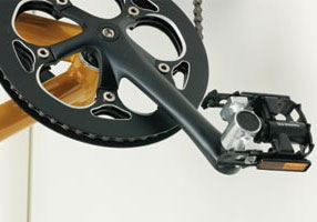 折りたたみ自転車『Citadin16』プレゼント | RENAULT TOKYO-ARIAKE TOPICS