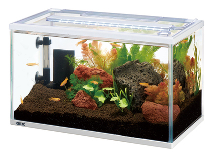 GEX メダカ水景 メダカ育成ソイル 室内飼育でもしっかり育つ 2.5L