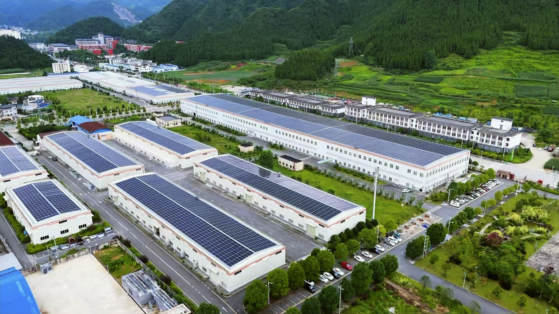 中国、世界の一大抹茶供給源に 内陸部、日本茶人気で生産拡大|47NEWS